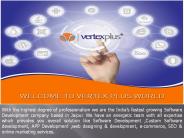 SEO Services at VertexPlus (1)