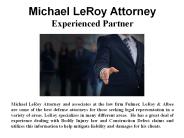 Michael LeRoy Attorney - Experienced Partner