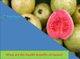 Health benefits of guava PowerPoint PPT Presentation