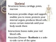 Skeletal