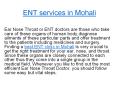 ENT services in Mohali PowerPoint PPT Presentation