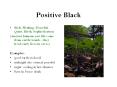 Positive Black PowerPoint PPT Presentation