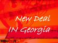 New Deal IN Georgia PowerPoint PPT Presentation