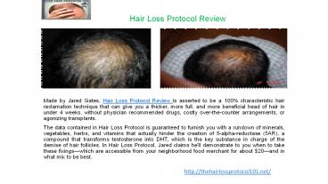 Hair Loss Protocol Review