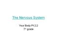 The Nervous System PowerPoint PPT Presentation