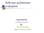Software architecture evaluation