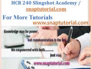 HCR 240 Aprentice tutors / snaptutorial.com