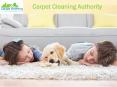 Carpet Cleaning Sydney | Cheap Carpet cleaners Sydney, NSW
