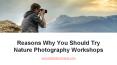 Reasons Why You Should Try Nature Photography Workshops PowerPoint PPT Presentation