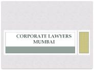 corporate lawyers