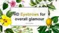 HD Eyebrows for overall glamour PowerPoint PPT Presentation