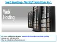 Web Hosting Services - Netsoft Solutions Inc. (2) PowerPoint PPT Presentation