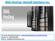 Web Hosting Services - Netsoft Solutions Inc. (2)