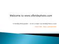 SF Wedding Photographer - Secrets to Make Your Wedding Photos Grand PowerPoint PPT Presentation