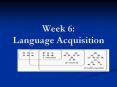 Week 6: Language Acquisition PowerPoint PPT Presentation
