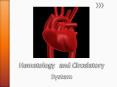 Hematology and Circulatory System PowerPoint PPT Presentation