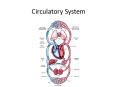 Circulatory System PowerPoint PPT Presentation