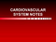 CARDIOVASCULAR%20SYSTEM%20NOTES