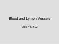 Blood and Lymph Vessels PowerPoint PPT Presentation