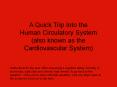 A Quick Trip Into the Human Circulatory System (also known as the Cardiovascular System) PowerPoint PPT Presentation