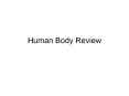 Human Body Review PowerPoint PPT Presentation