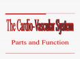 The Cardio-Vascular System PowerPoint PPT Presentation