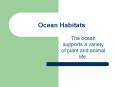Ocean Habitats PowerPoint PPT Presentation