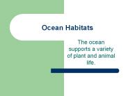Ocean Habitats
