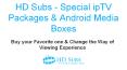 HD Subs - Special ipTV Packages & Android Media Boxes PowerPoint PPT Presentation