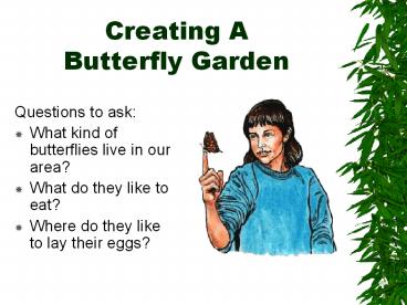 Creating A Butterfly Garden