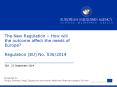 The New Regulation  PowerPoint PPT Presentation