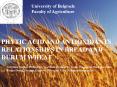 PHYTIC ACID AND ANTIOXIDANTS RELATIONSHIPS IN BREAD AND DURUM WHEAT PowerPoint PPT Presentation