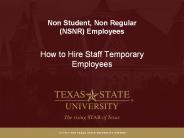 Non Student, Non Regular  (NSNR) Employees