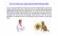 How to train your dog using remote training collar PowerPoint PPT Presentation
