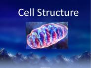 Cell Structure