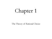 The Theory of Rational Choice