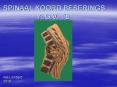 SPINAAL%20KOORD%20BESERINGS%20A.G.V.%20TB PowerPoint PPT Presentation