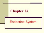 Endocrine System