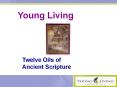 Young Living PowerPoint PPT Presentation