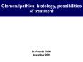 Glomerulpathies: histology, possibilities of treatment PowerPoint PPT Presentation