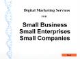 Services For Small business and Small Enterprises Co of Digital Marketing PowerPoint PPT Presentation