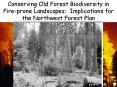 Old Growth PowerPoint PPT Presentation