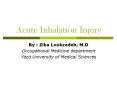 Acute%20Inhalation%20Injury PowerPoint PPT Presentation