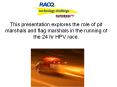 This presentation explores the role of pit marshals and flag marshals in the running of the 24 hr HPV race. PowerPoint PPT Presentation