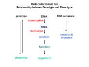 Molecular Basis for