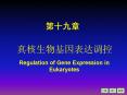 Regulation of Gene Expression in Eukaryotes PowerPoint PPT Presentation