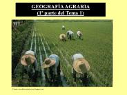 GEOGRAF