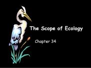 The Scope of Ecology