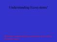 Understanding Ecosystems! PowerPoint PPT Presentation