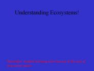 Understanding Ecosystems!